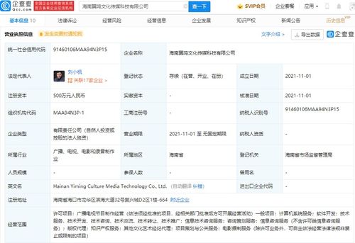 項目策劃與公關(guān)服務(wù) 構(gòu)建成功與聲譽(yù)的雙重支柱